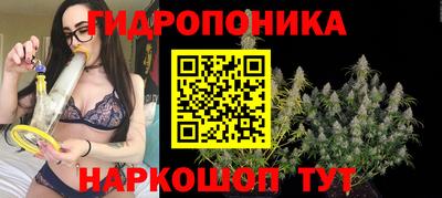 индика Ликино-Дулёво