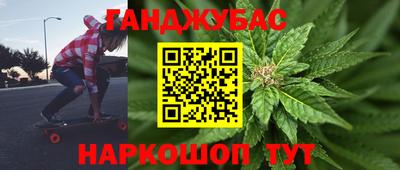 прущие грибы Лесосибирск