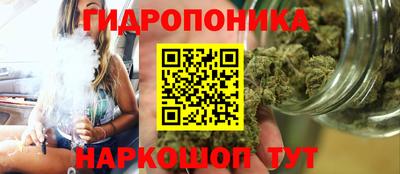 индика Ликино-Дулёво