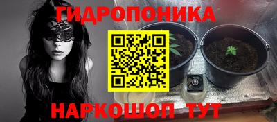 прущие грибы Лесосибирск