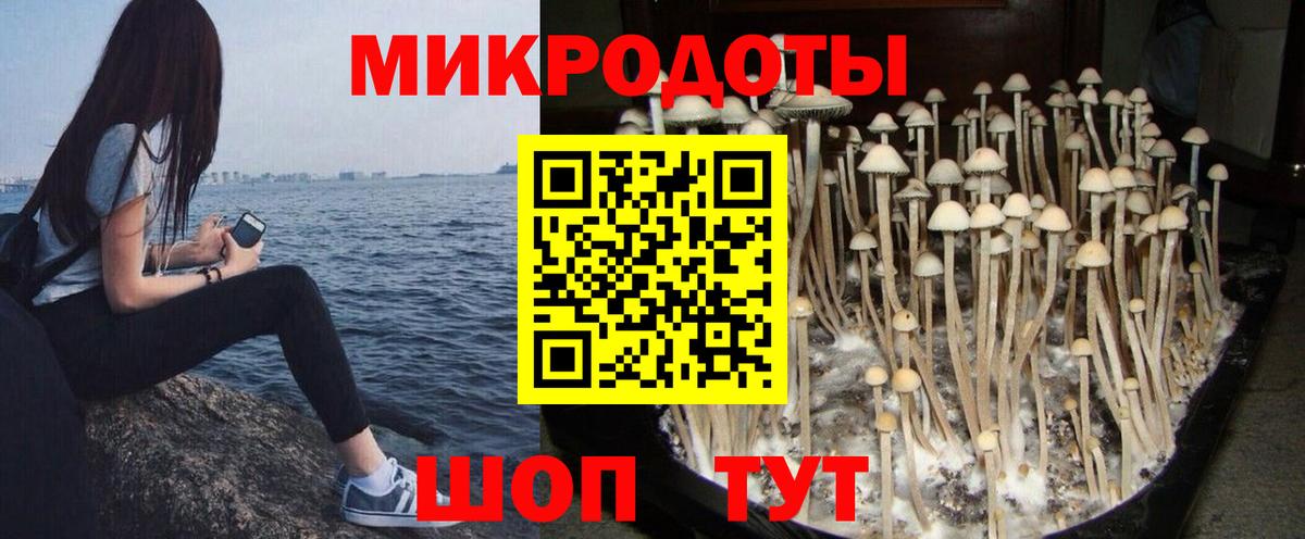 Вичуга  Псилоцибиновые грибы GOLDEN TEACHER  Вход с VPN 